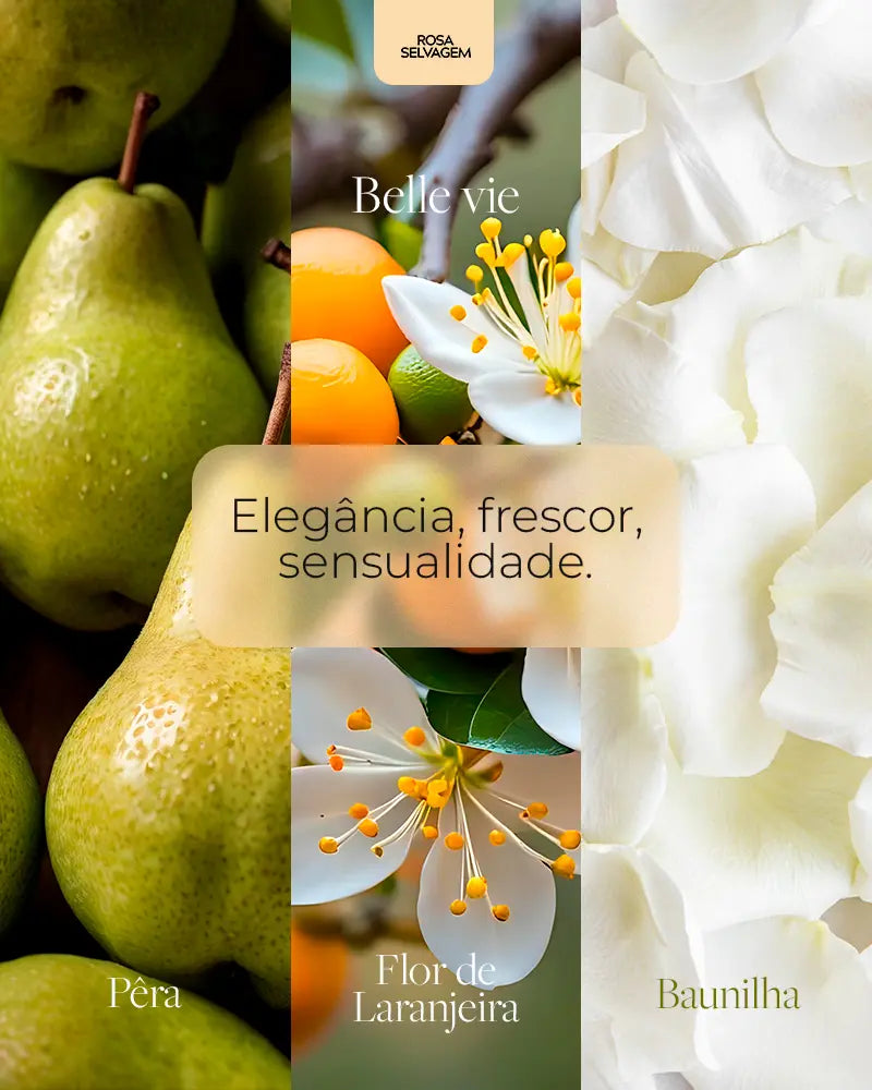 Kit 5 Body Splashes Rosa Selvagem