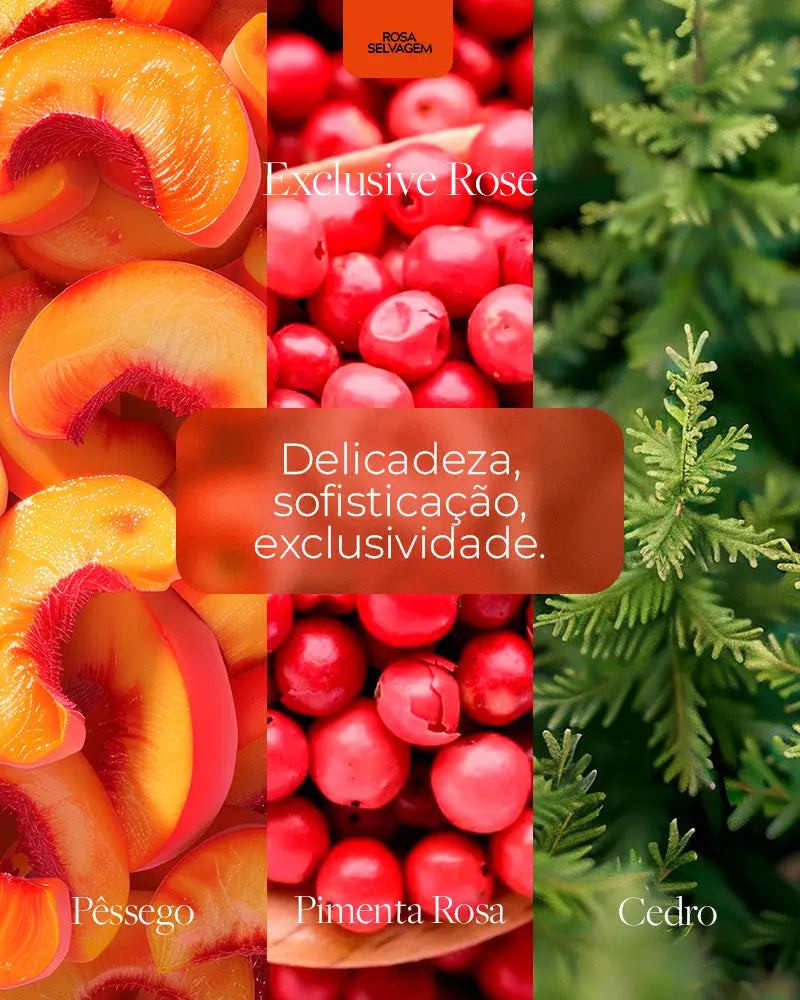 Kit Body Splash Completo Rosa Selvagem